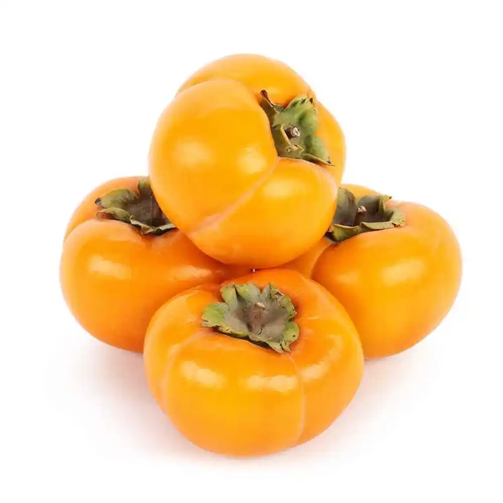 Хурма Ромашка инжирная