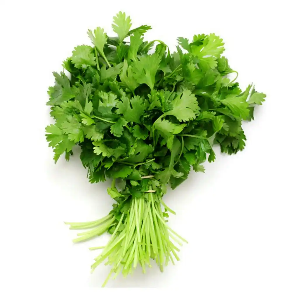 Кинза пл/уп