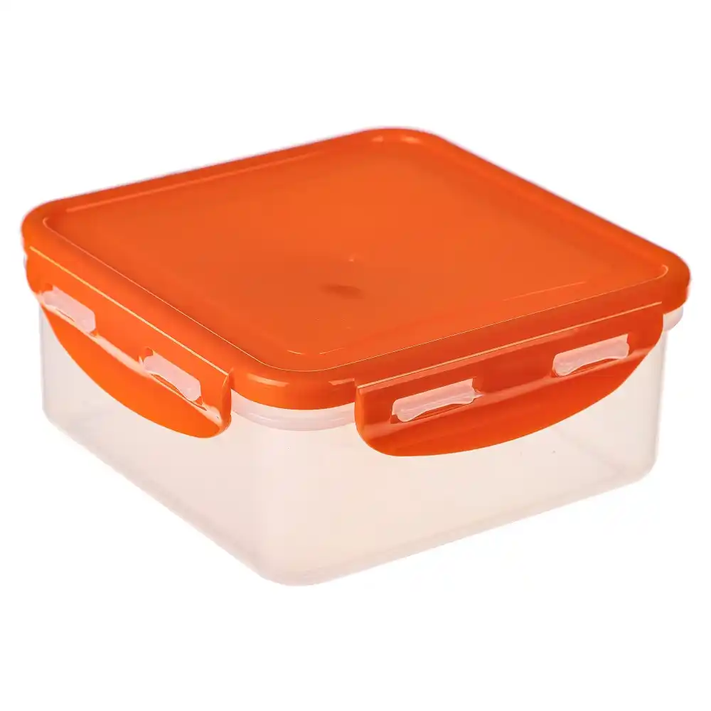 Контейнер герметичный Рыжий