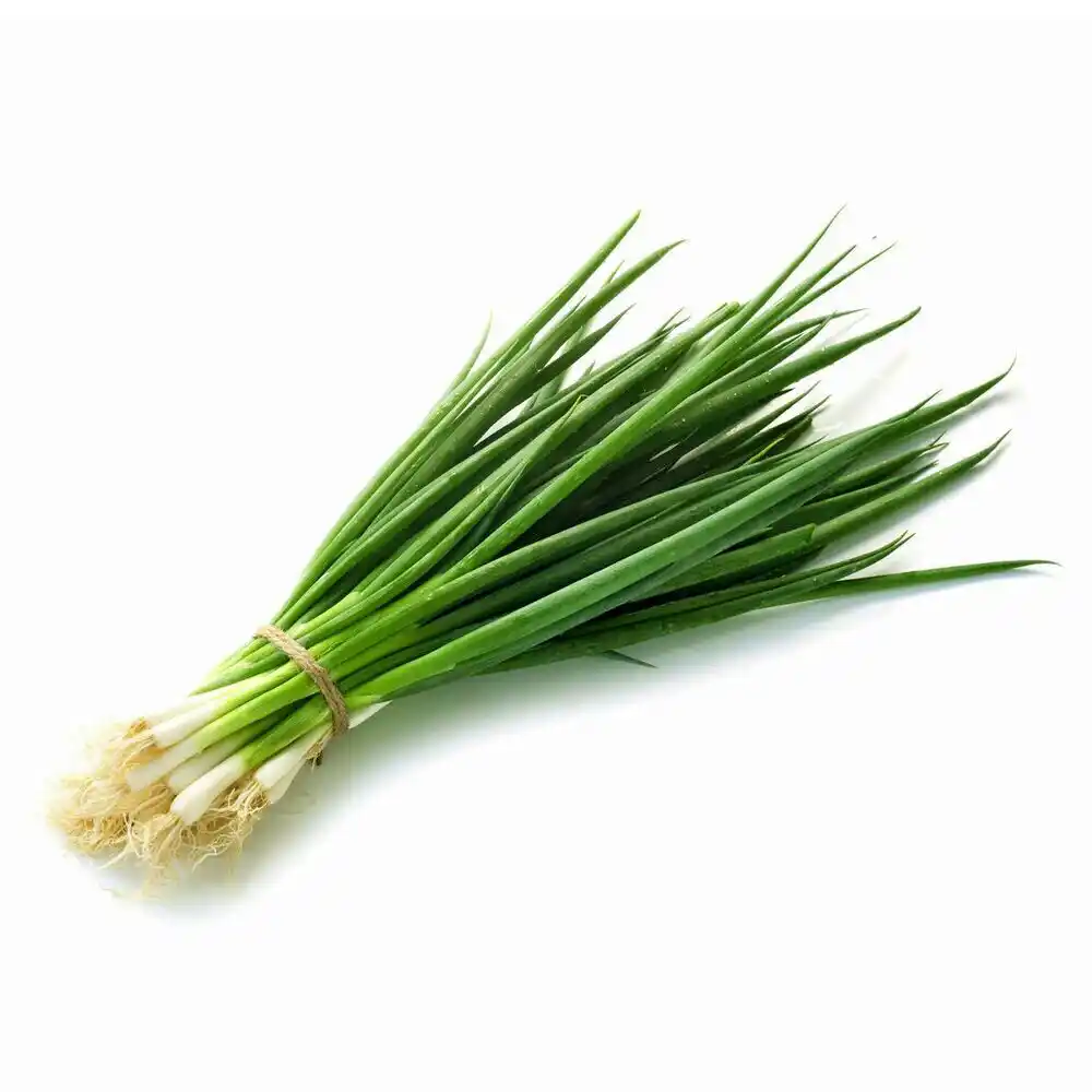 Лук зеленый пучок