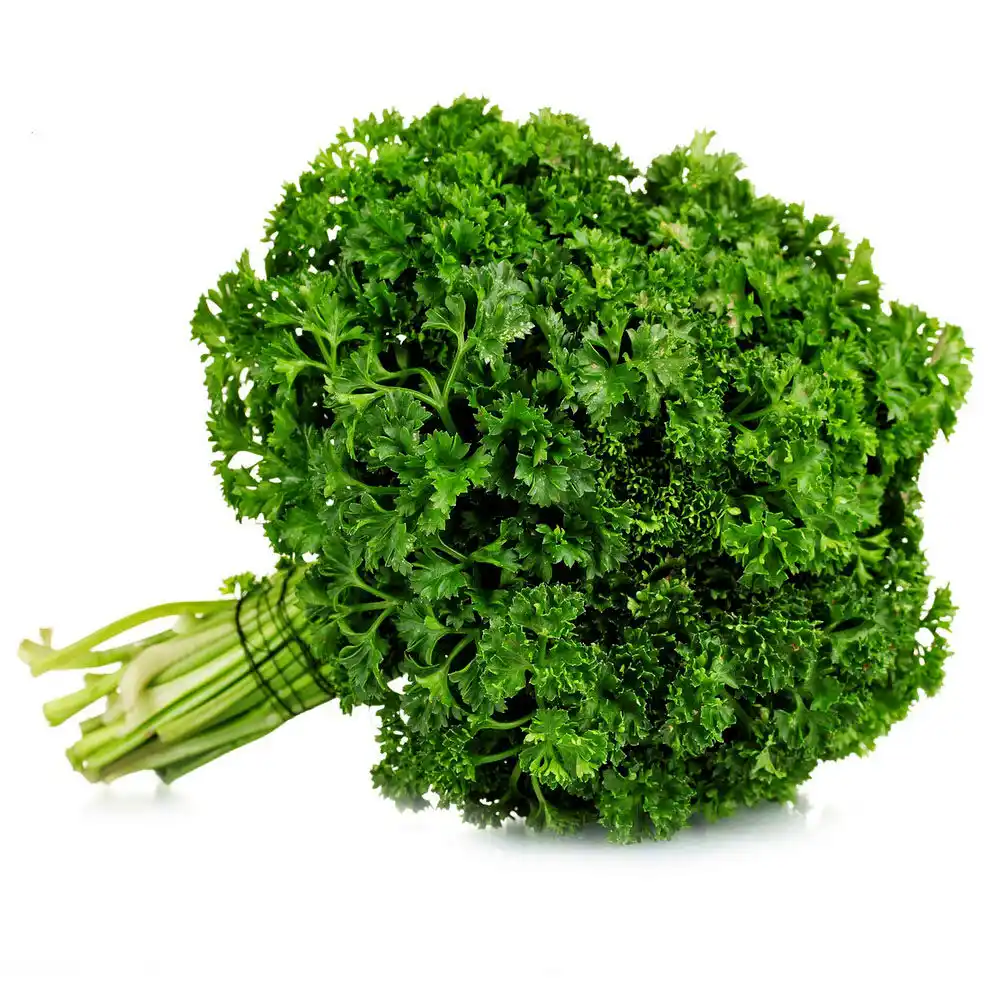 Петрушка кудрявая пл/уп