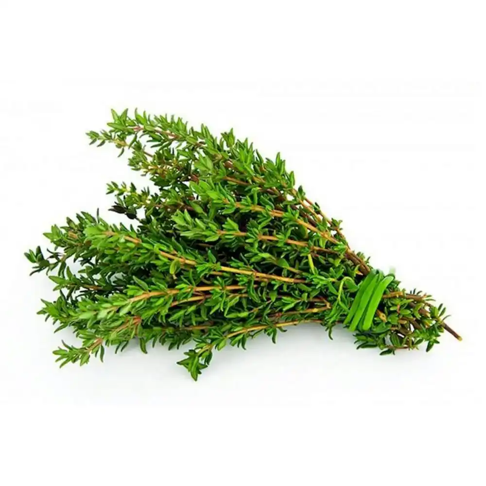 Тимьян пл/уп