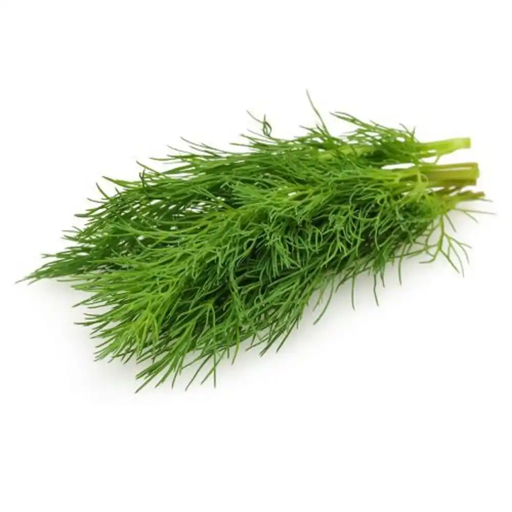 Укроп пучок б/уп