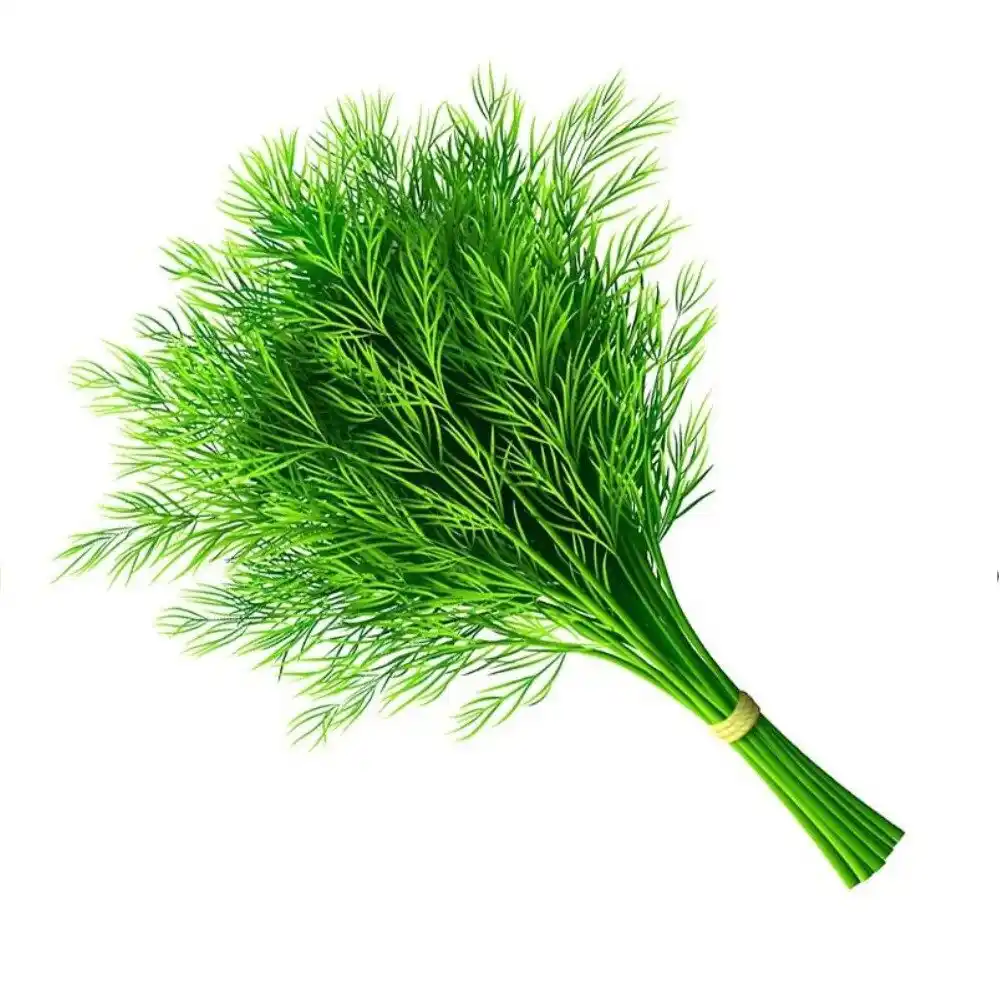 Укроп пучок перф/пакет